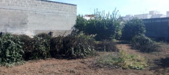  قطعة أرض في Copertino, Italy 600متر مربع رقم 136676 7