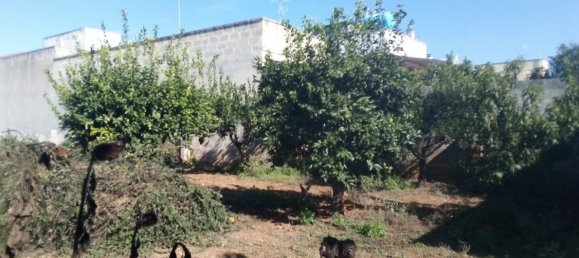  قطعة أرض في Copertino, Italy 600متر مربع رقم 136676 8