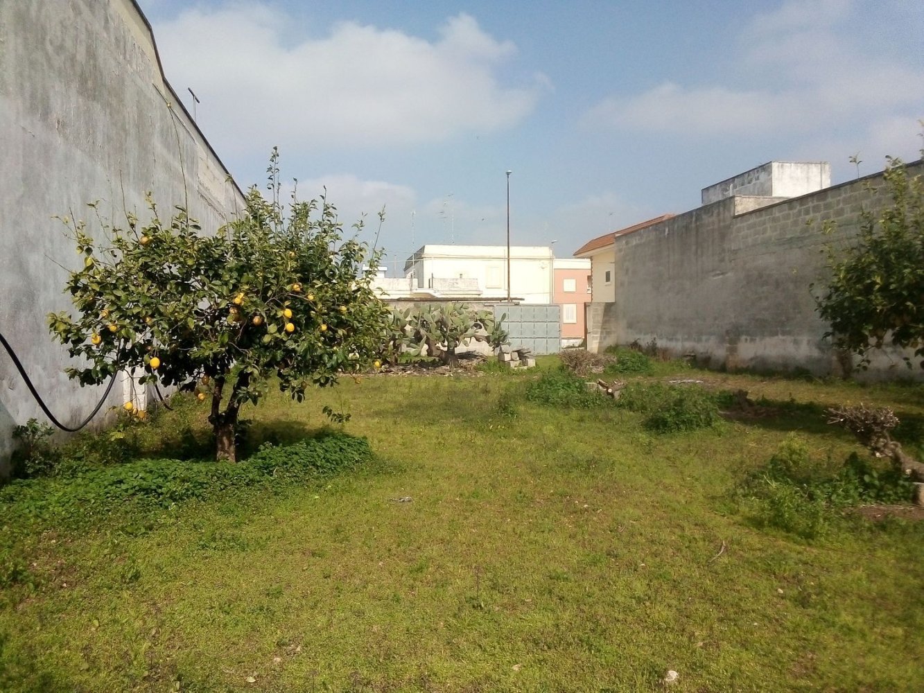  قطعة أرض في Copertino, Italy 600متر مربع رقم 136676