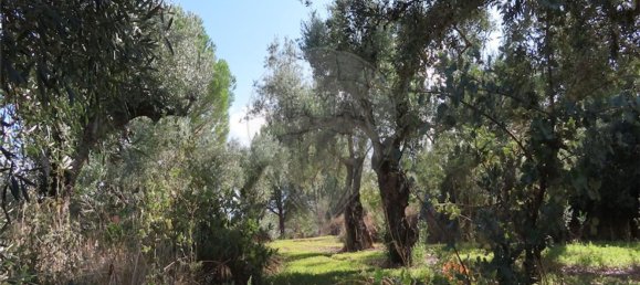 1 bedroom House in Alpedrinha, Portugal No. 69910 27