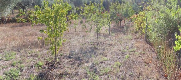 1 bedroom House in Alpedrinha, Portugal No. 69910 31