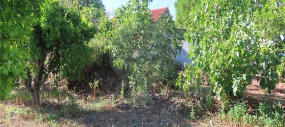 1 bedroom House in Alpedrinha, Portugal No. 69910 30