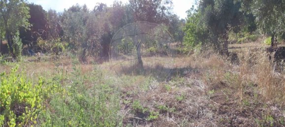 1 bedroom House in Alpedrinha, Portugal No. 69910 38