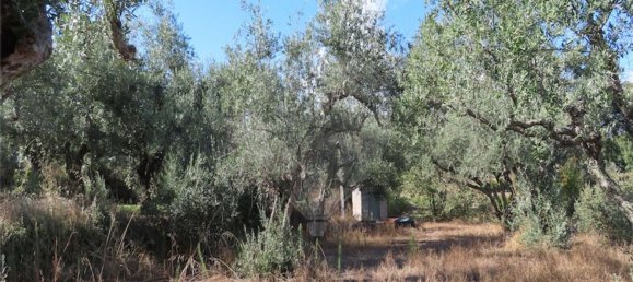 1 bedroom House in Alpedrinha, Portugal No. 69910 22