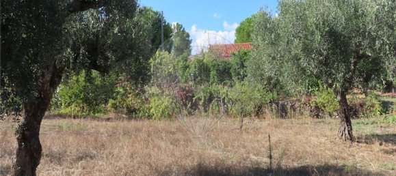 1 bedroom House in Alpedrinha, Portugal No. 69910 33