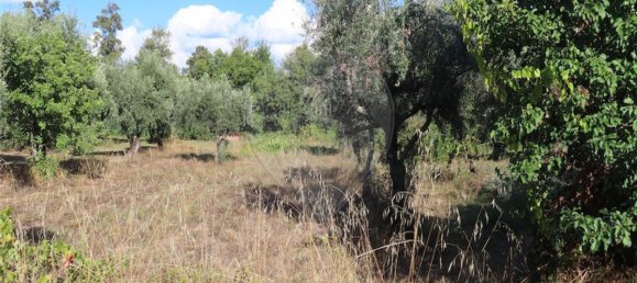 1 bedroom House in Alpedrinha, Portugal No. 69910 36