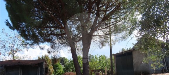 1 bedroom House in Alpedrinha, Portugal No. 69910 28