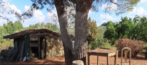 1 bedroom House in Alpedrinha, Portugal No. 69910 9