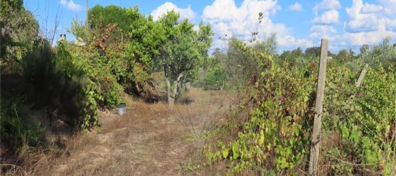 1 bedroom House in Alpedrinha, Portugal No. 69910 43