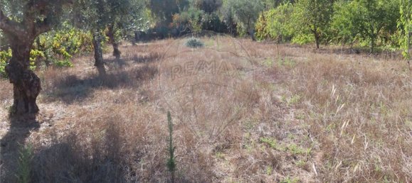 1 bedroom House in Alpedrinha, Portugal No. 69910 39