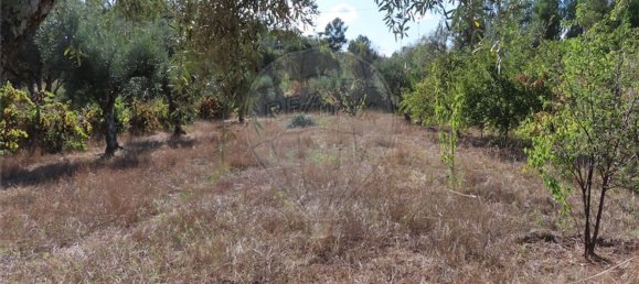 1 bedroom House in Alpedrinha, Portugal No. 69910 32