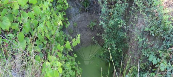 1 bedroom House in Alpedrinha, Portugal No. 69910 35