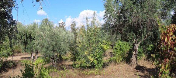 1 bedroom House in Alpedrinha, Portugal No. 69910 34