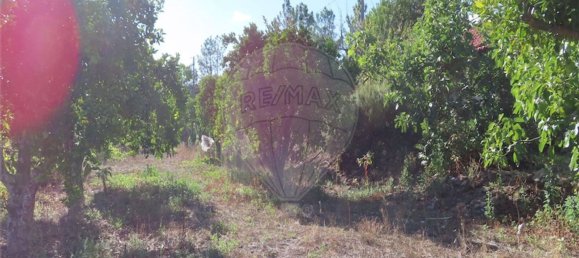 1 bedroom House in Alpedrinha, Portugal No. 69910 29