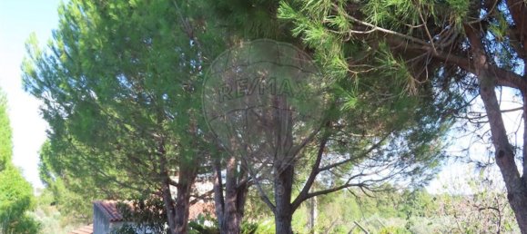 1 bedroom House in Alpedrinha, Portugal No. 69910 46