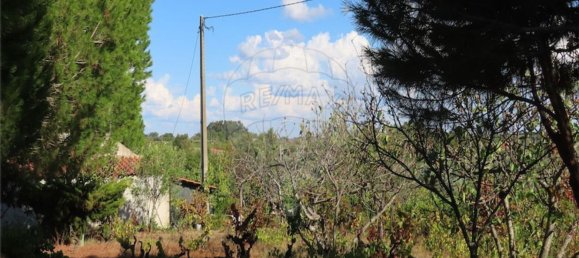 1 bedroom House in Alpedrinha, Portugal No. 69910 45