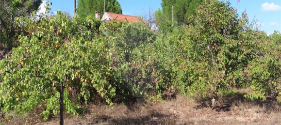 1 bedroom House in Alpedrinha, Portugal No. 69910 40