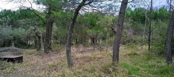 3 rooms House in Cingoli, Italy No. 65494 7