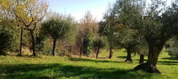 3 rooms House in Cingoli, Italy No. 65494 2