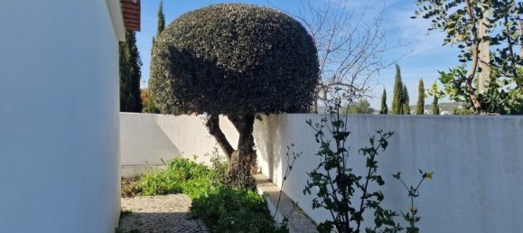 4 bedrooms Villa in Sao Bras de Alportel, Portugal No. 128357 21