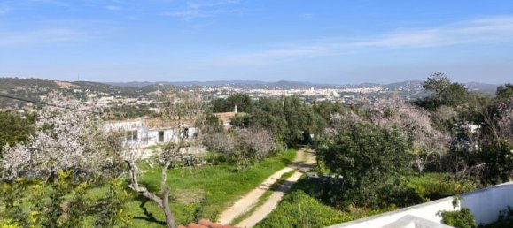 4 bedrooms Villa in Sao Bras de Alportel, Portugal No. 128357 26