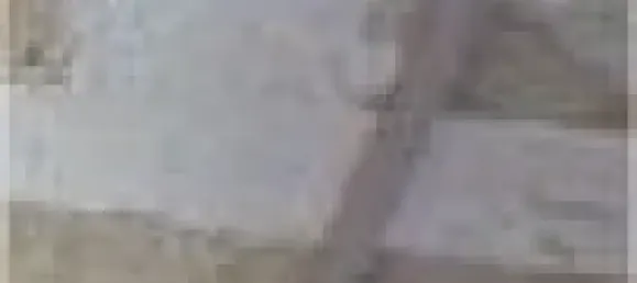  قطعة أرض في Havelland, Germany رقم 371830 16