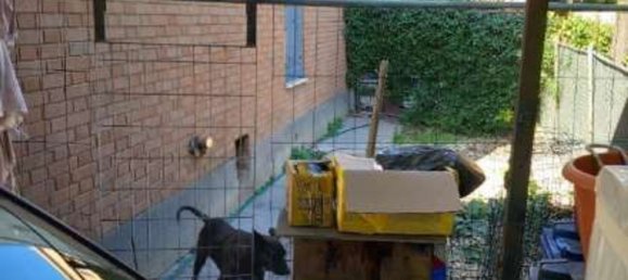 6 rooms Apartment in Soliera, Italy No. 94995 2