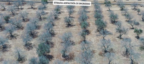 Terrain à Nardò, Italy 132322m² No. 267517 3