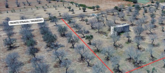 Terrain à Nardò, Italy 132322m² No. 267517 2