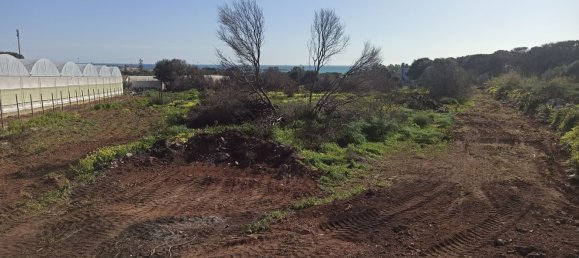 626m² Land in Portopalo di Capo Passero, Italy No. 66624 3
