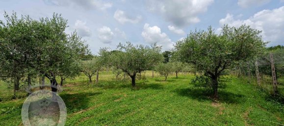 8غرفة منزل في Cortona, Italy رقم 78514 27