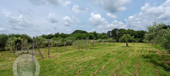 8غرفة منزل في Cortona, Italy رقم 78514 26