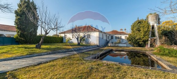 7 bedrooms House in Vila Nova de Poiares, Portugal No. 21749 11
