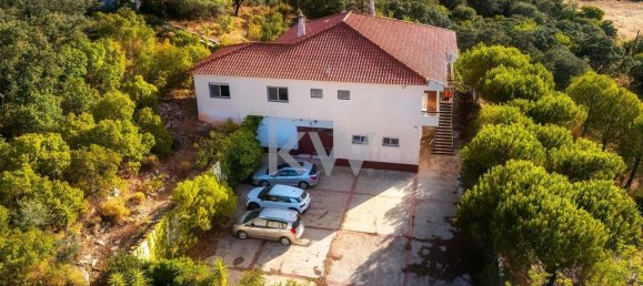 3 chambres Maison à Sao Bras de Alportel, Portugal No. 133499 35