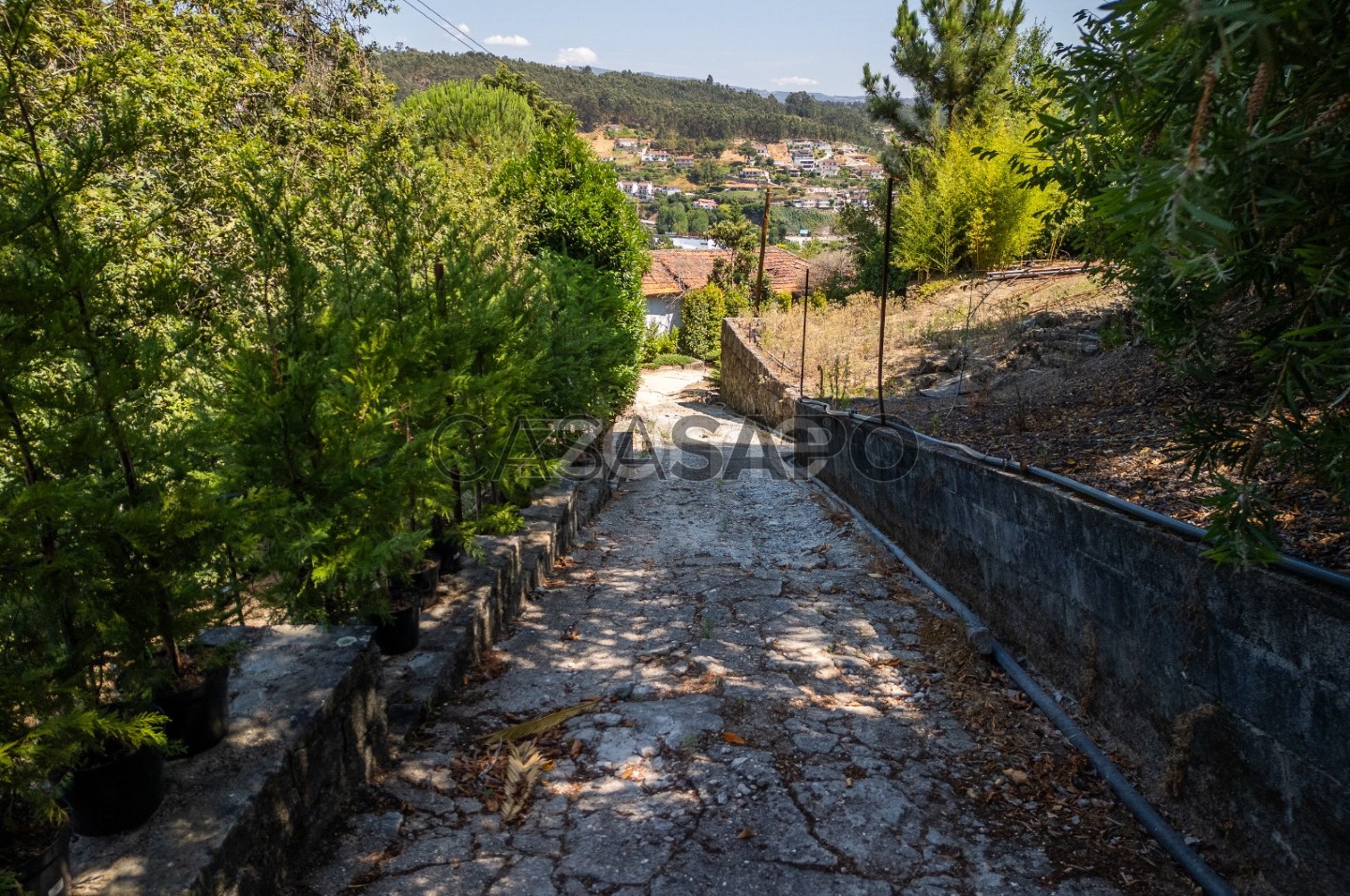 3 bedrooms House in Rio de Moinhos, Portugal No. 324038