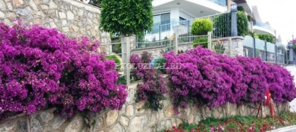 Apartment 1+1 in Alanya, Turkey No. 28444 23