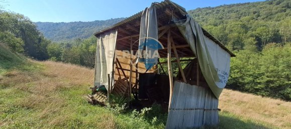 2-Zimmer Haus in Pradalunga, Italy, Nr. 316093 11