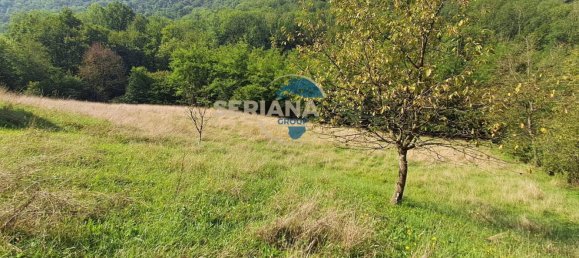 2-Zimmer Haus in Pradalunga, Italy, Nr. 316093 9