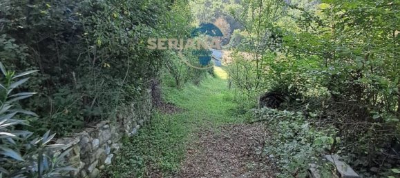 2-Zimmer Haus in Pradalunga, Italy, Nr. 316093 8