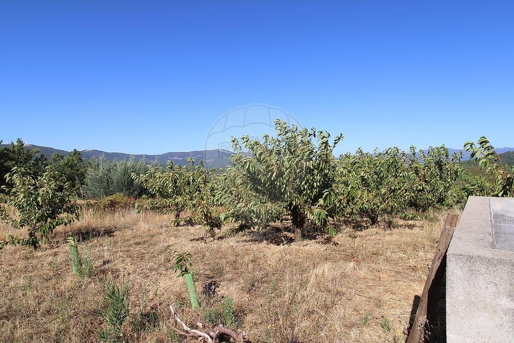  Land in Souto da Casa, Portugal No. 217381