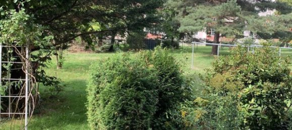 2 rooms Apartment in Dresden, Germany No. 698 4