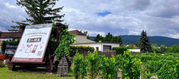 2غرفة شقة في Pfaffstatten, Austria رقم 146551 7