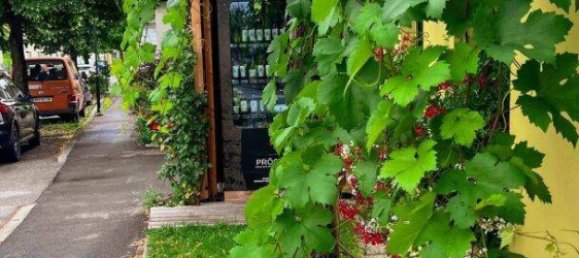 2غرفة شقة في Pfaffstatten, Austria رقم 146551 38