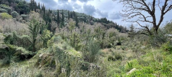 91445 m² terreno en venta en Corfu, Central Corfu and Diapontian Islands, Corfu, Ionian Islands, Peloponnese, Western Greece and the Ionian, Greece № 105287 8