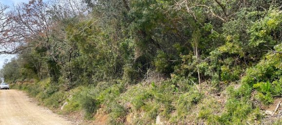 91445 m² terreno en venta en Corfu, Central Corfu and Diapontian Islands, Corfu, Ionian Islands, Peloponnese, Western Greece and the Ionian, Greece № 105287 14
