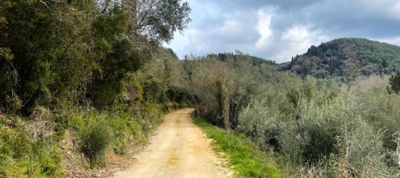 91445 m² terreno en venta en Corfu, Central Corfu and Diapontian Islands, Corfu, Ionian Islands, Peloponnese, Western Greece and the Ionian, Greece № 105287 4