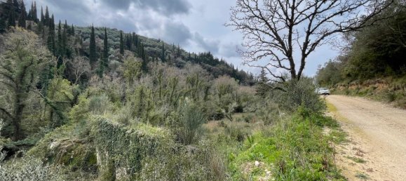 91445 m² terreno en venta en Corfu, Central Corfu and Diapontian Islands, Corfu, Ionian Islands, Peloponnese, Western Greece and the Ionian, Greece № 105287 10