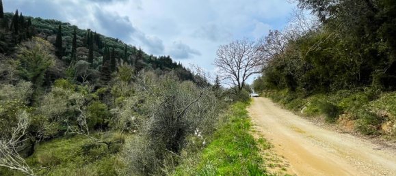 91445 m² terreno en venta en Corfu, Central Corfu and Diapontian Islands, Corfu, Ionian Islands, Peloponnese, Western Greece and the Ionian, Greece № 105287 13