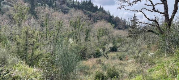 91445 m² terreno en venta en Corfu, Central Corfu and Diapontian Islands, Corfu, Ionian Islands, Peloponnese, Western Greece and the Ionian, Greece № 105287 11