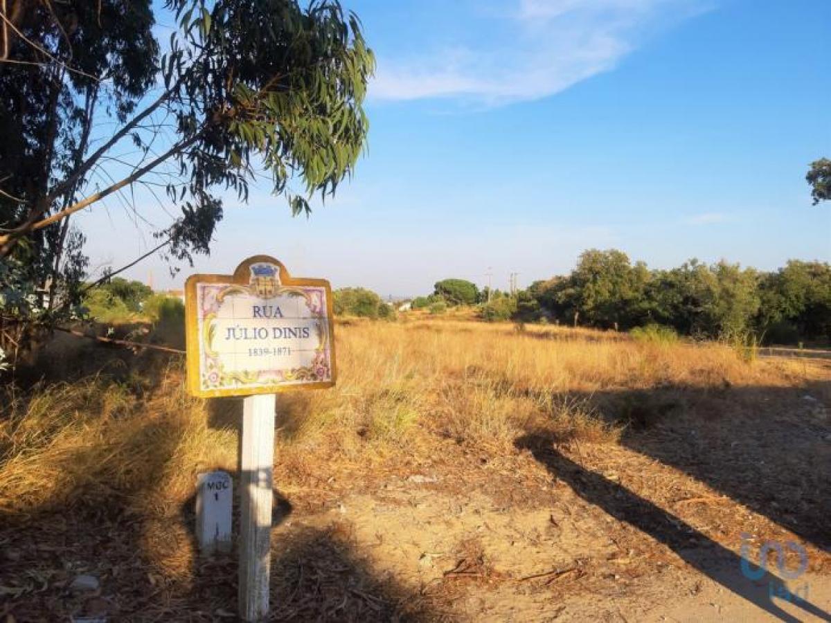 Terrain à Palmela, Portugal No. 8865
